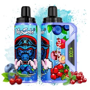 VapSolo Summer Dream Flavor (Copy)